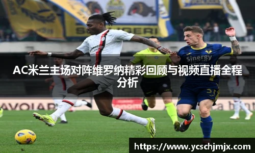 xc体育